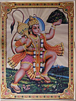[ PAHAD HANUMAN (CODE NO. 503) ]