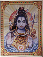 [ OM SHANKAR (CODENO.507) ]
