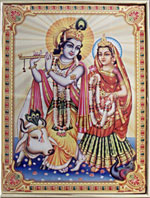 [ COW RADAH KRISHNA (CODE NO.530) ]