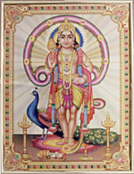 [ OM MURUGAN (CODE NO. 540) ]