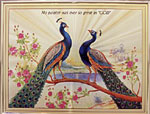 [ PEACOCK (CODE NO.606) ]