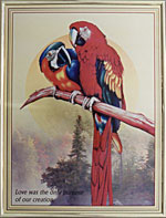 [ COUPLE PARROT (CODE NO.608) ]