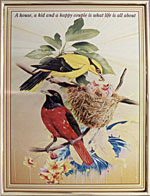 [ ROBBIN FAMILY (CODE NO.610) ]