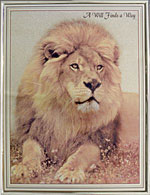 [ LION (CODE NO.620) ]